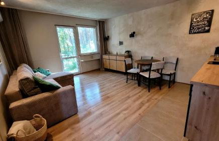 Leśne Apartmani Biała - Foto 9