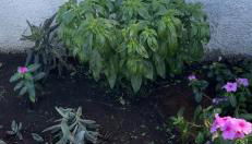 Casa vacanze Metauria - Foto 3