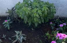 Casa vacanze Metauria - Foto 3