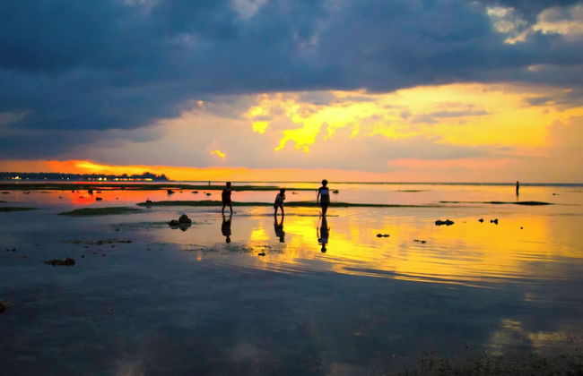 The Anandita - Foto 55