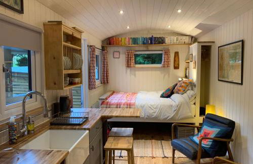 Shepherd’s delight - Foto 24