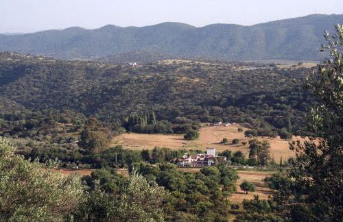 Las Navezuelas - Photo 26