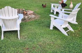 Red River Gorge Farmhouse 50 Acres - Foto 20