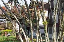 Apartamento Maranduba - Foto 68