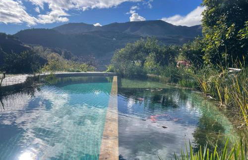 La Calma y La Casita de la Tierra - Foto 47