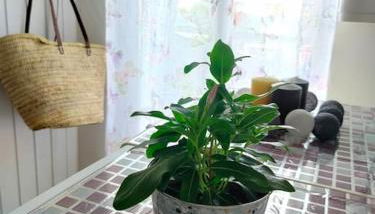 La Casita de Ivanna - Foto 3