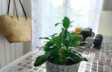 La Casita de Ivanna - Foto 3