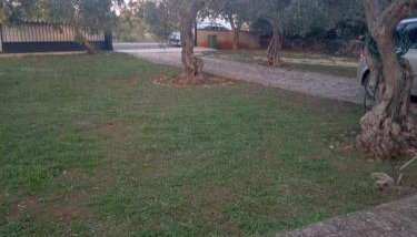 Apartman Krčina - Foto 3