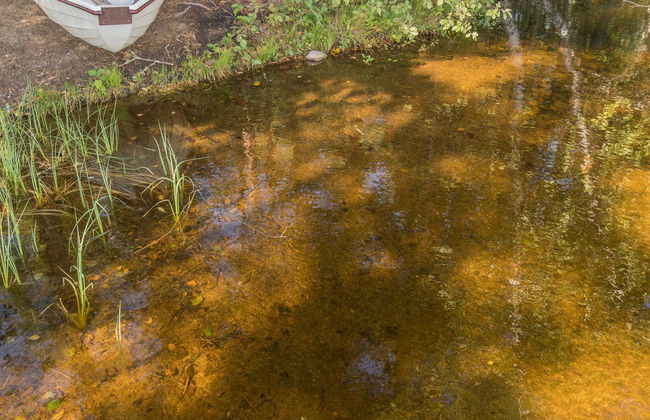 Valkealammi - Foto 5