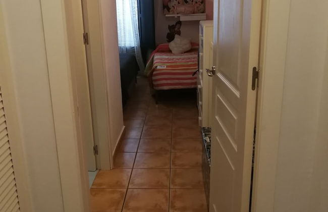 Velez Nazari - Photo 74