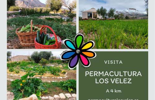 El Ático de La Casa Viva - Foto 57