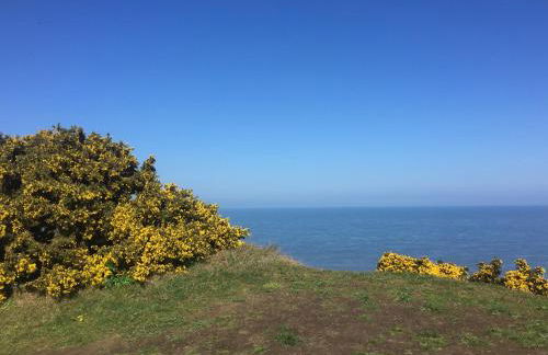 Chez Marguerite Shepherd's Hut with Private Sauna, Outside Bath - Photo 26