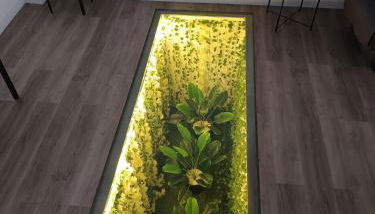 Loft Vista al Teide - Foto 3, Garden