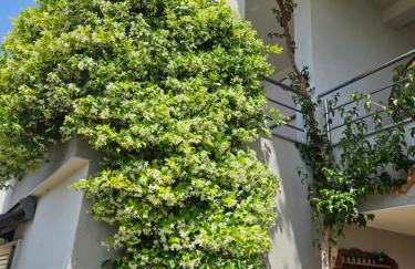 Apartmani Marinović - Foto 30