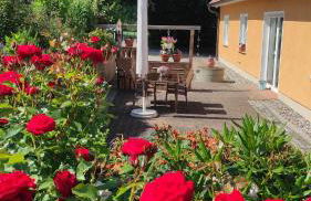 Küstenblüte - Foto 2