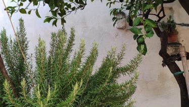 Casa Vacanze Le Volte - Foto 4