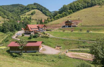 Springhansenhof - Photo 1