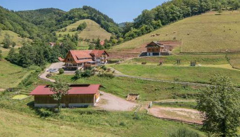 Springhansenhof - Foto 1