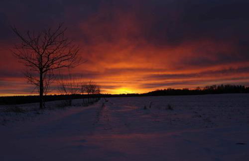 Hill-view Holiday Home in Dankerode near Lake and Hiking - Foto 13