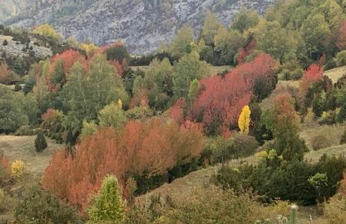 El Estacho de Panticosa - Photo 32