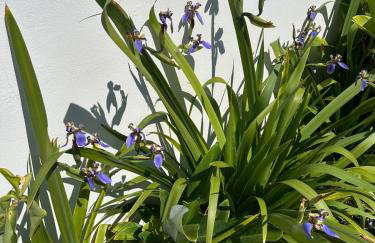 Refugio na Represa - Foto 26