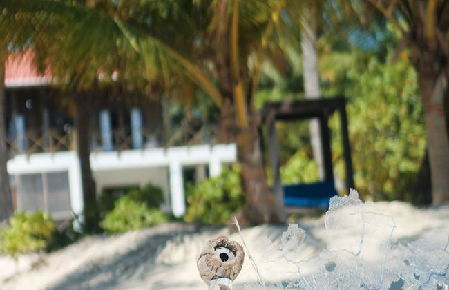 North Beach Retreat - Photo 34