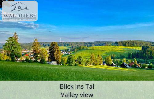 Exklusives 5-Sterne Apartment Waldliebe mit Indoor-Pool, Sauna, top Lage und Ausblick in die Natur, Hunde willkommen - Foto 20