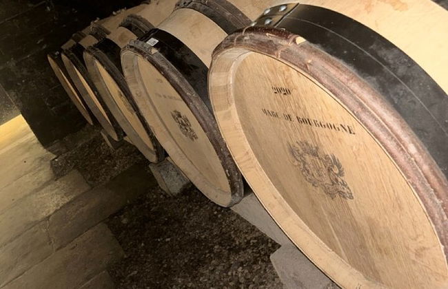 Traslado privado De Lyon a Beaune - Foto 6