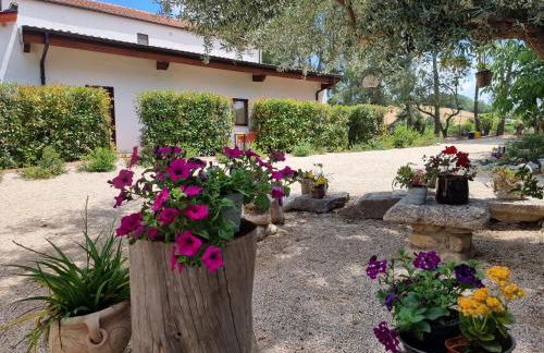 Agriturismo Essentia dimora rurale - Foto 47