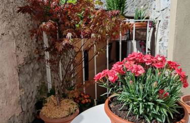 Il Vicolo agli Orti - Centro storico - Lake Como - Foto 21