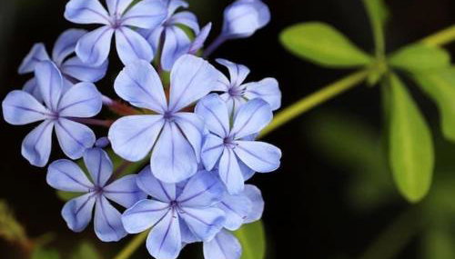 Appartamento Plumbago Blu in via P Mattarella 175B - Foto 5