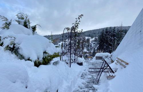 Flügels ReBi-Baude - Foto 41