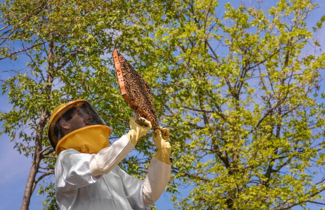 Agriturismo Borgo il Mezzanino - Foto 41