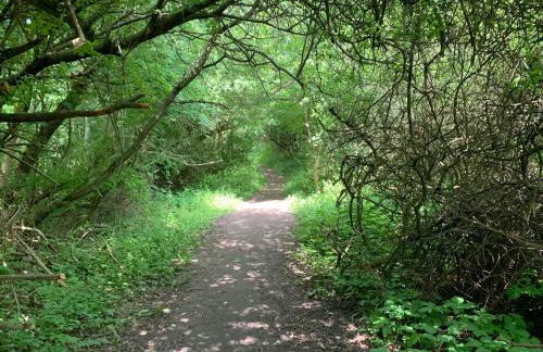 Moderne Kate Kiel - Foto 17