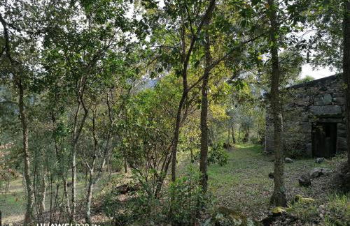 Casa Douro Terrace - Foto 54