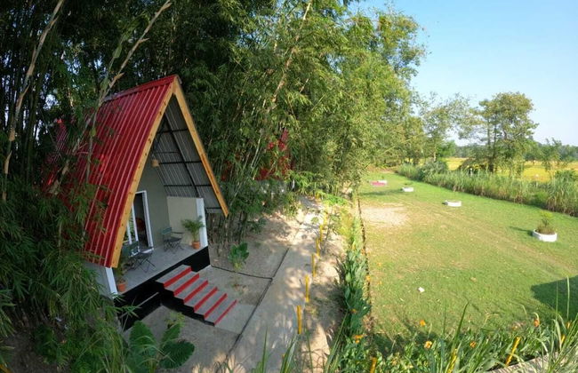 Pobitora Village Eco Camp - Foto 8