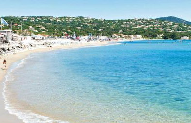 le lavandin - Foto 33