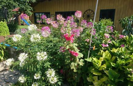 Ferienhof Fenzl - Foto 31