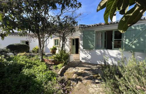 Casa Martim - Foto 4