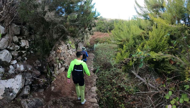 Parque Rural de Teno