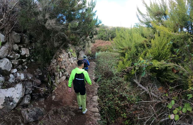 Senderismo por el interior del Parque Rural de Teno - Foto 2