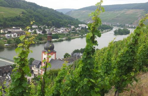 "Ferienhaus An der Mosel" - Foto 57