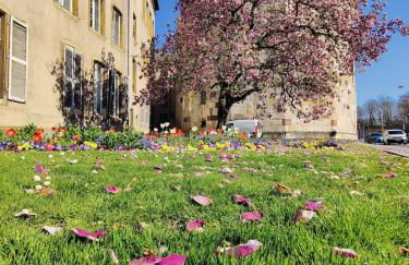 Grand Studio Sécurisé Hypercentre Calme 3 mins de la Gare - Foto 25