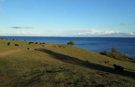 Traumblick und Komfort - lichtdurchflutete 85 qm Wohnung nahe Südstrand Göhren inklusive Schwimmbad und Sauna im AHOI Sellin - Foto 61