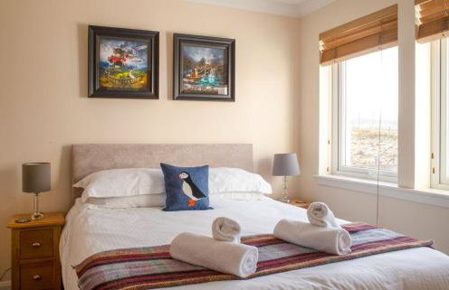 Solas Alainn - Foto 24