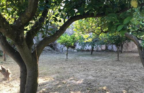 Casa Vacanza I principini - Foto 19