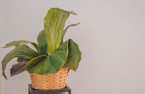 MojacarProperty, Apto Guardias Viejas 1ª Linea De Playa - Foto 12