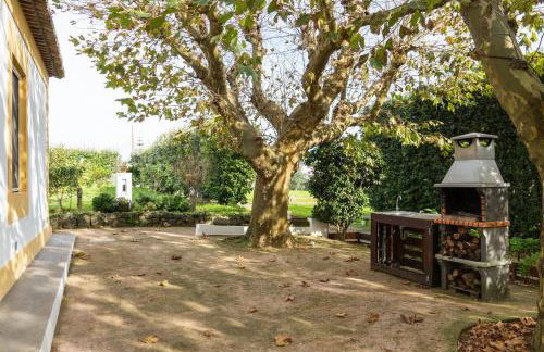 Quinta São José da Relva - Photo 19