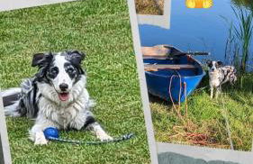 Ferienhaus Kömhuus - Photo 25