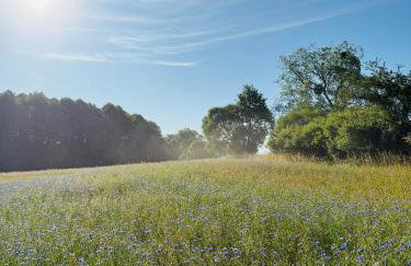 Apartament Jerzyn - Foto 47